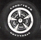 1975 Firebird Radial Tires