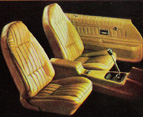 in 1976 The R4ear Spoiler Finally became an option on Firebird Esprit