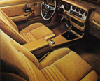 1978 Firebird New Custom Interior