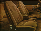1979 Firebird and Trans Am Hobnail Cloth Interior