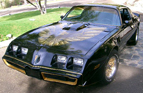 1979 Black and Gold Special Edition Trans Am